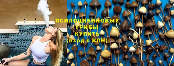 прущая мука Алзамай