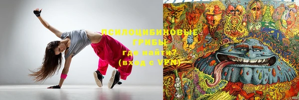 эйфоретик Аркадак